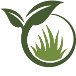 Tampa Landscaping Service