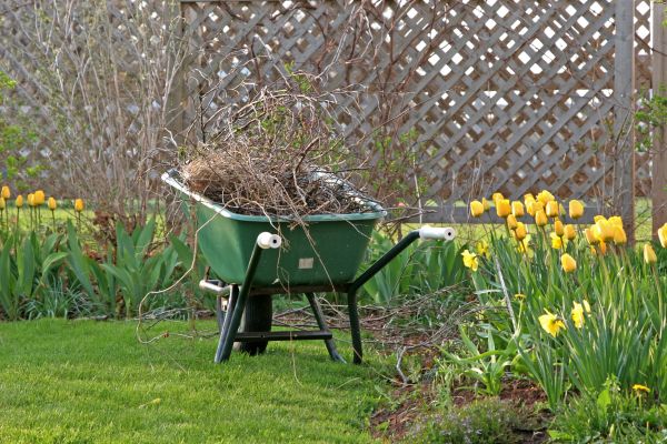 Flower Bed Cleanup Service in Tampa