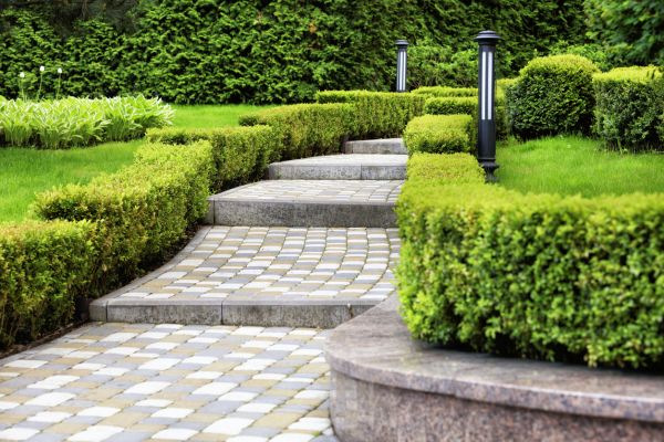 Backyard Remodeling in Tampa