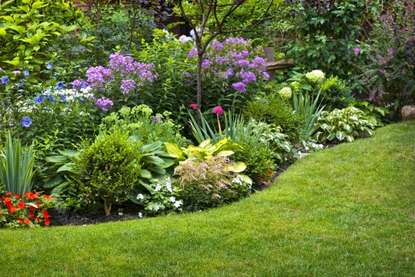 Flower Bed Service in Tampa