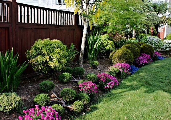Garden Care Service in Tampa