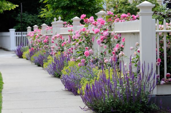 Garden Handyman Service in Tampa