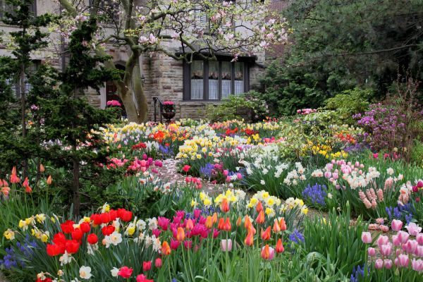 Garden Maintenance Service in Tampa