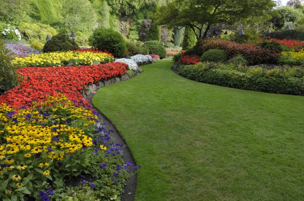 Landscaping Maintenance in Tampa