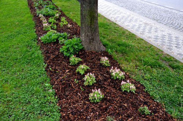 Mulch Replacement Service in Tampa