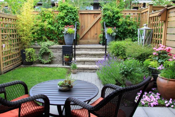 Small Yard Landscaping in Tampa