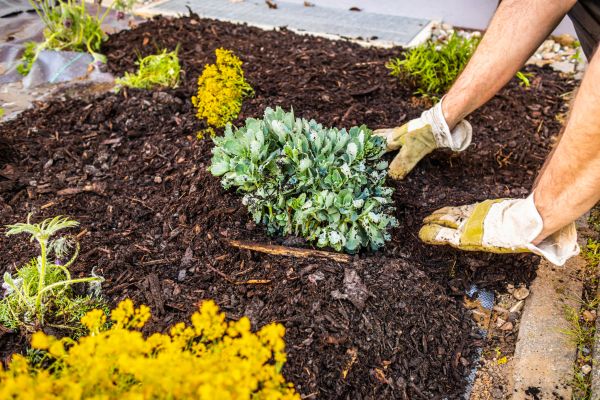 Weeding And Mulching in Tampa