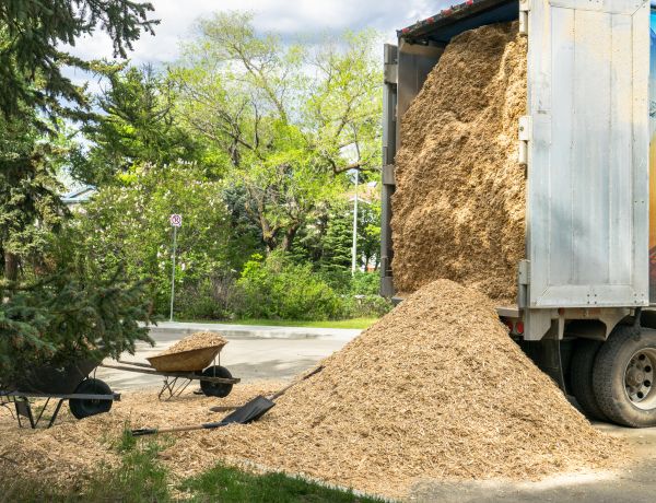 Wood Chips Delivery in Tampa