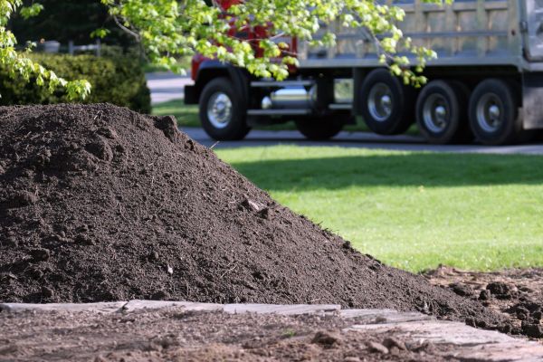 Yard Dirt Delivery in Tampa