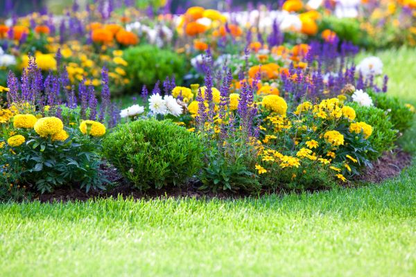 Garden Installation in Tampa