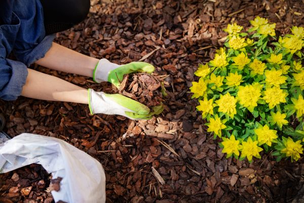 Garden Mulching in Tampa
