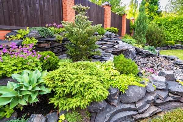 Landscape Remodeling in Tampa