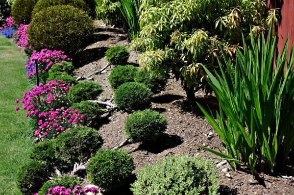 Residential Gardening in Tampa