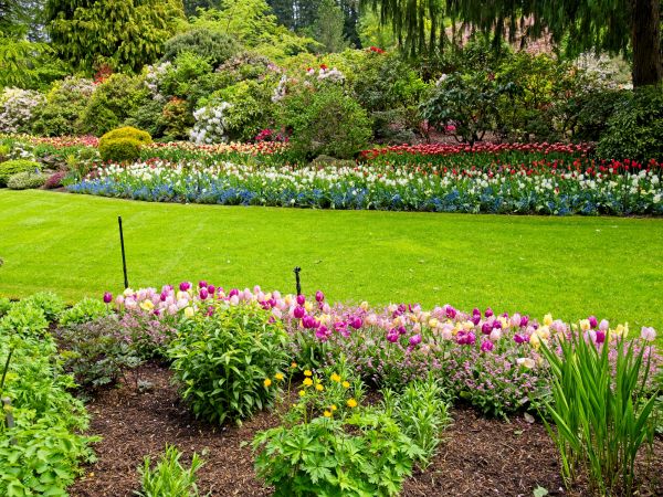 Residential Landscape Design in Tampa