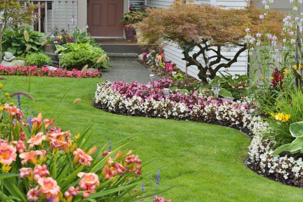 Perennial Landscaping in Tampa