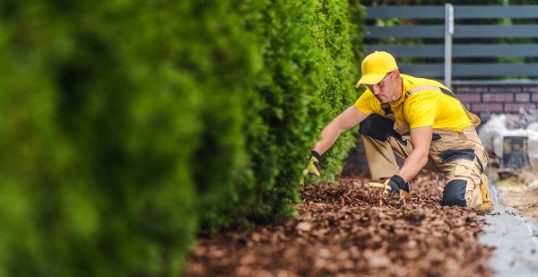Cypress Mulch Installation in Tampa