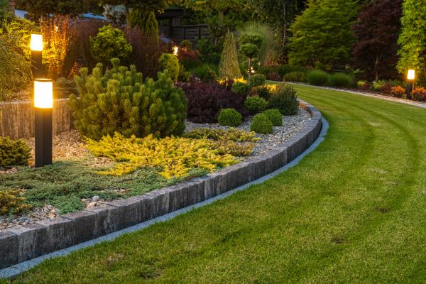 Garden Repair Service in Tampa