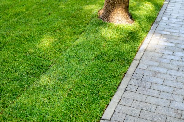 Border Stone Installation in Tampa