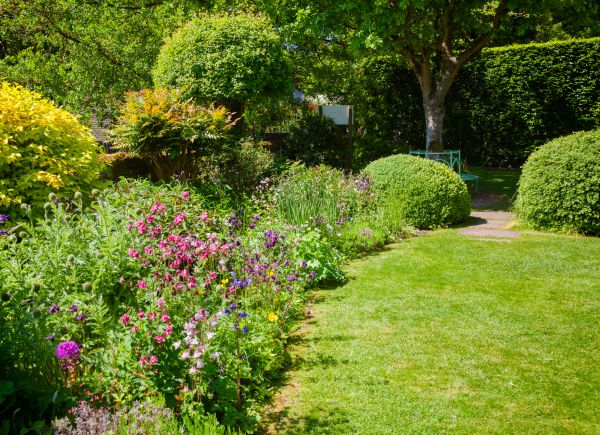 Yard Landscaping Service in Tampa