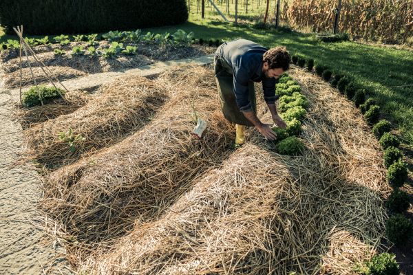 Straw Mulching Service in Tampa