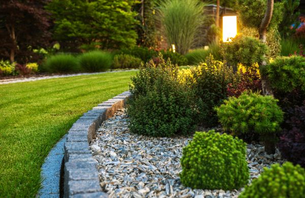 Landscaping Service in Tampa
