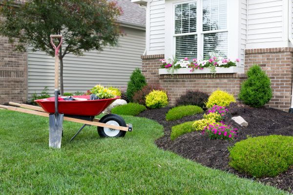 Tree And Shrub Planting in Tampa