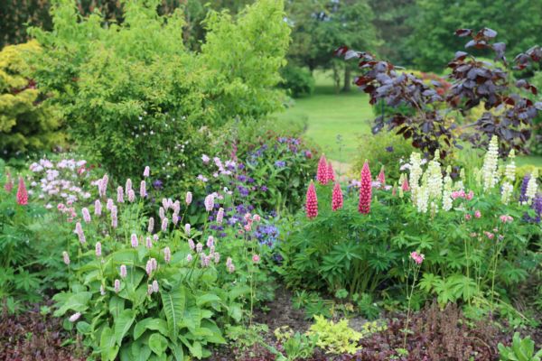 Flower Bed Planting in Tampa