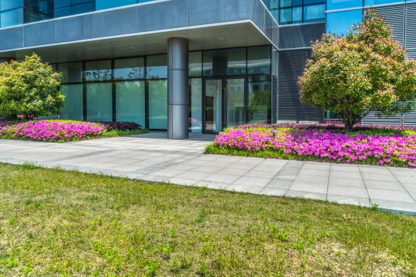 Commercial Gardening in Tampa