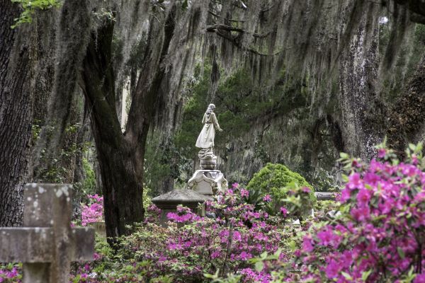 Cemetery Landscaping in Tampa