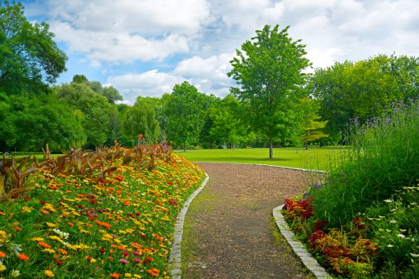 Park Landscaping in Tampa