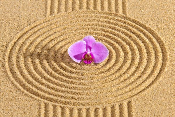 Sand Garden Landscaping in Tampa