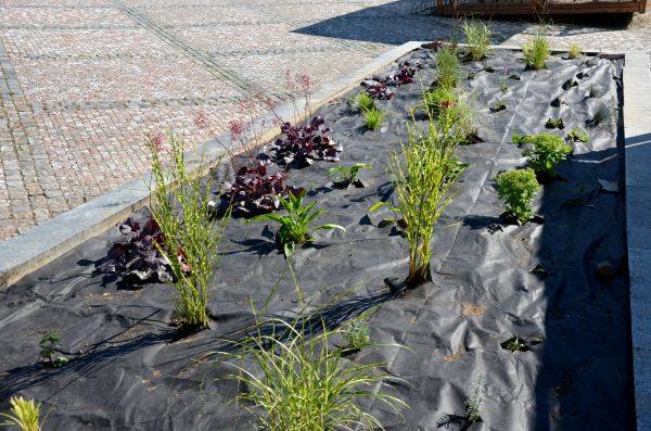 Landscape Fabric Installation in Tampa