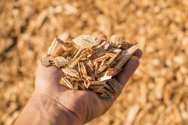 Wood Chips Spreading in Tampa