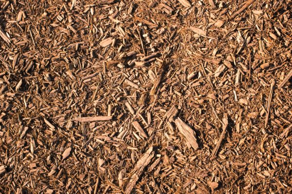 Wood Chips Removal in Tampa