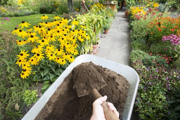 Topsoil Replacement in Tampa