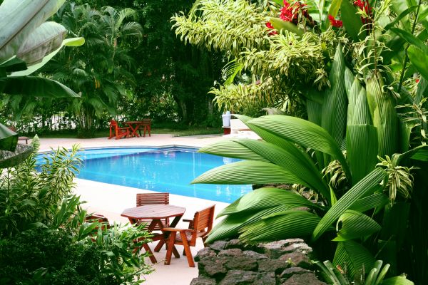 Pool Area Landscaping in Tampa