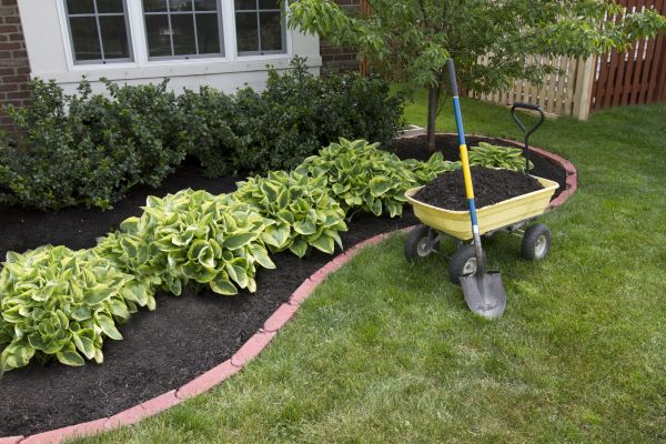 Landscape Mulching in Tampa