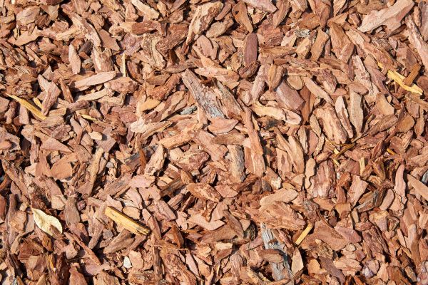 Pine Mulch Spreading in Tampa