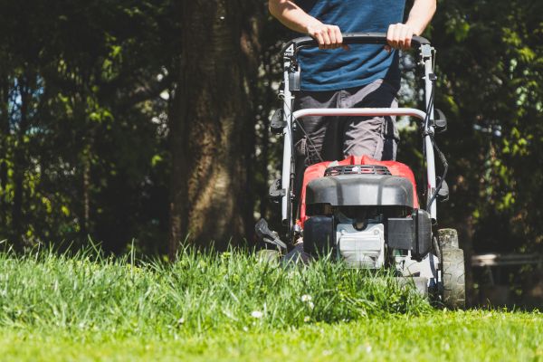 Garden Trimming Service in Tampa