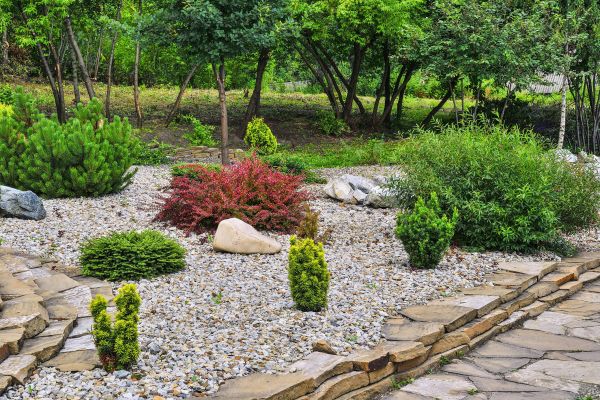Hardscape Landscaping in Tampa