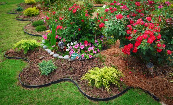 Floral Landscaping in Tampa