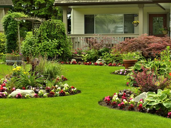 Flower Garden Planting in Tampa