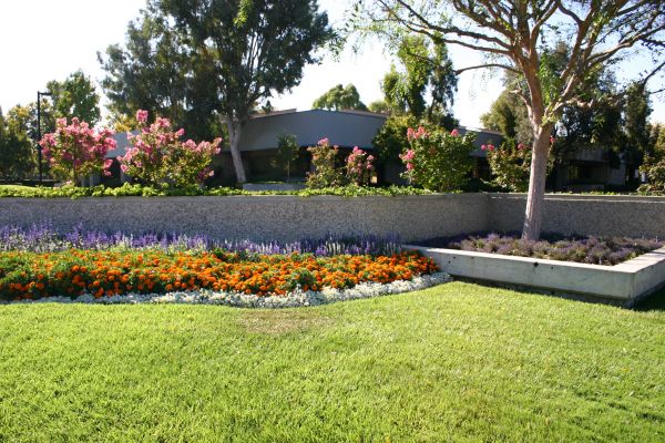 Commercial Landscape Service in Tampa