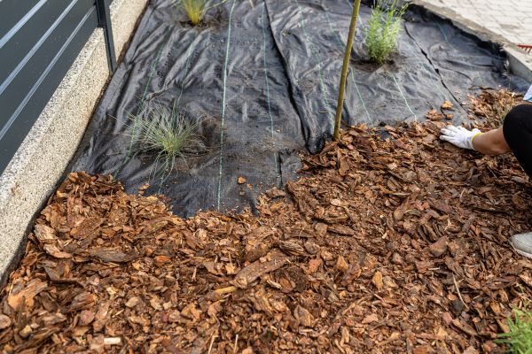 Pine Bark Spreading in Tampa