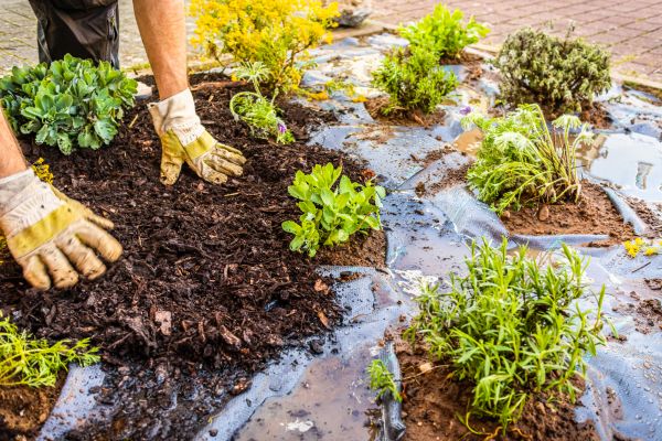 Mulch Fabric Installation in Tampa