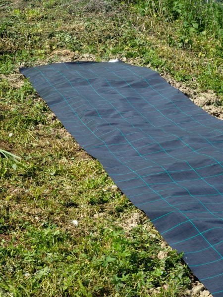Weed Suppressant Installation in Tampa
