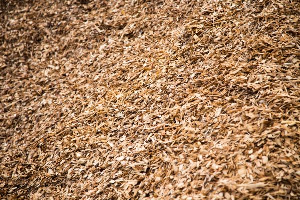 Hardwood Mulch Delivery in Tampa