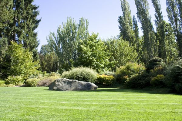 Yard Enlargement in Tampa