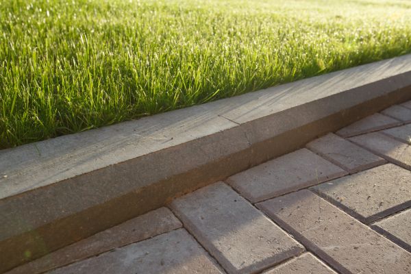 Lawn Edging Replacement in Tampa