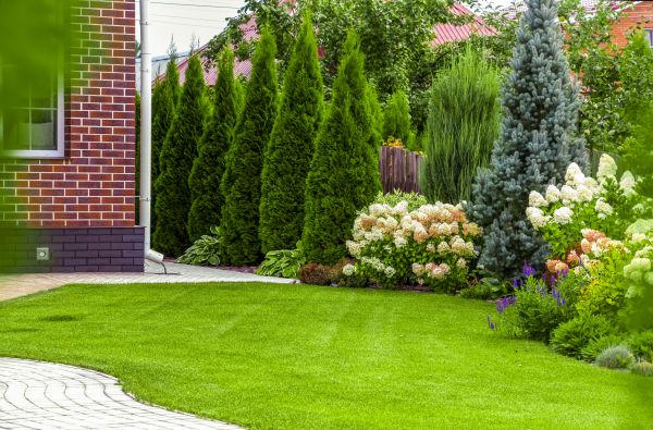 Spring Landscaping in Tampa